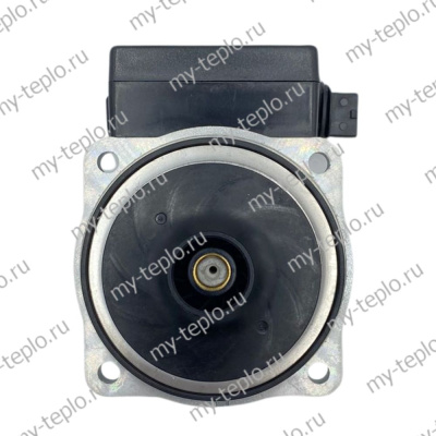 Насос циркуляционный Duca BPS 15-5D (голова) для котла NEVA LUX (KGnasDucaNLW155)