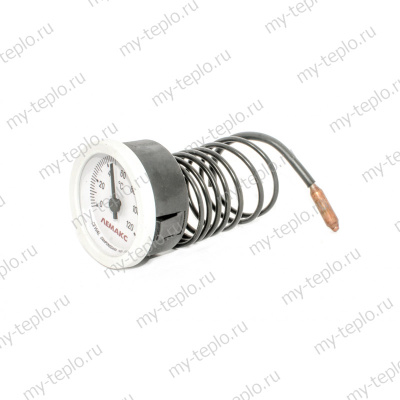 Лемакс Термометр с логотипом "ЛЕМАКС" (004100/202794)